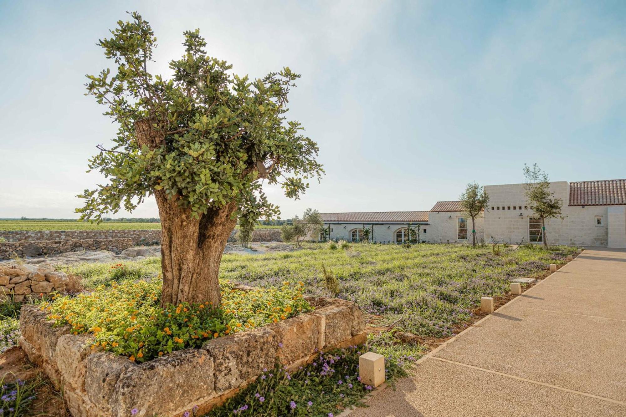 Masseria Vaccaro By Raro Villas - Self Check-In Brindisi Exterior photo