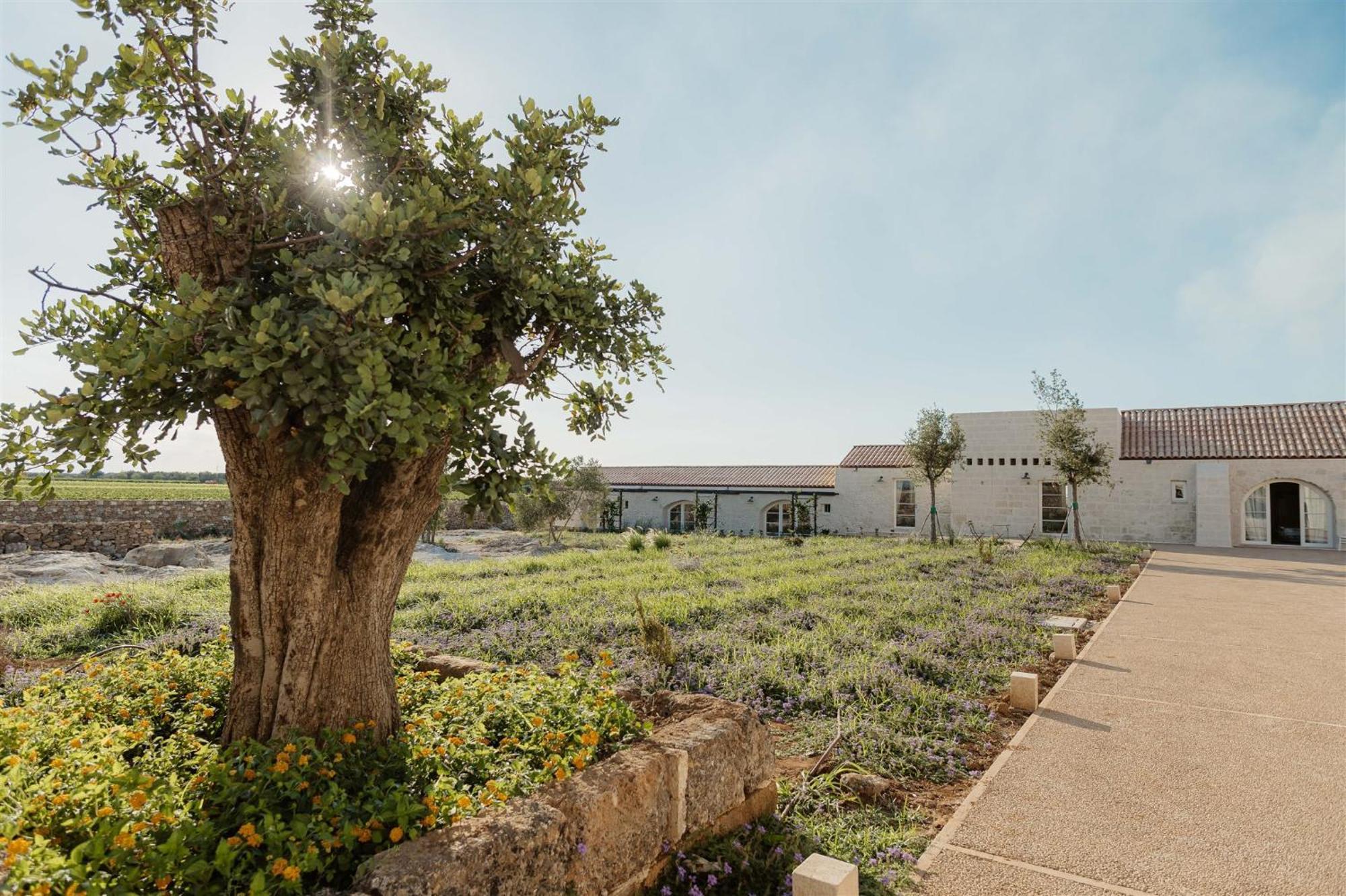 Masseria Vaccaro By Raro Villas - Self Check-In Brindisi Exterior photo