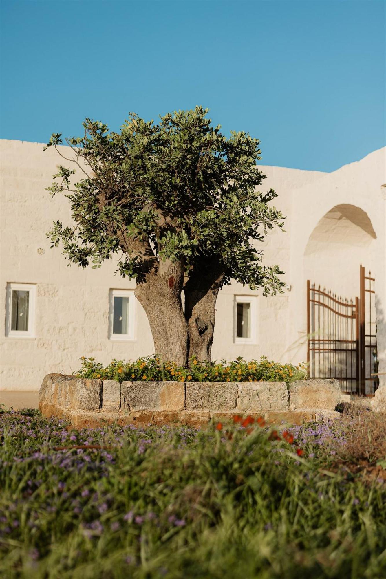 Masseria Vaccaro By Raro Villas - Self Check-In Brindisi Exterior photo